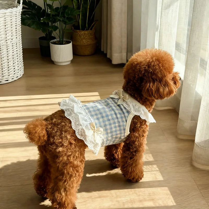 Summer Lace Skirt for Pets