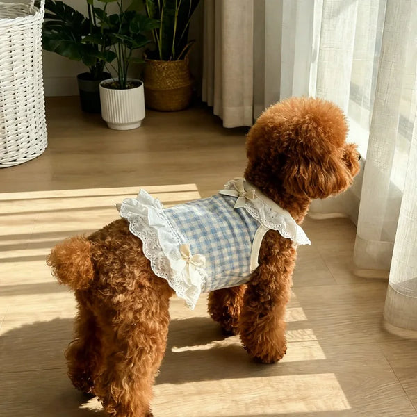 Summer Lace Skirt for Pets