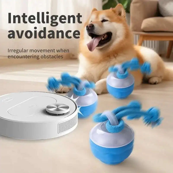 RollerPup Smart Rolling Play Ball