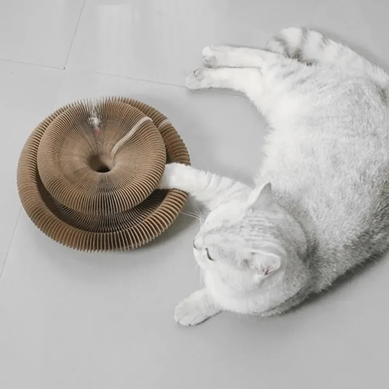 Kitty Kurlz Playboard Scratch Toy