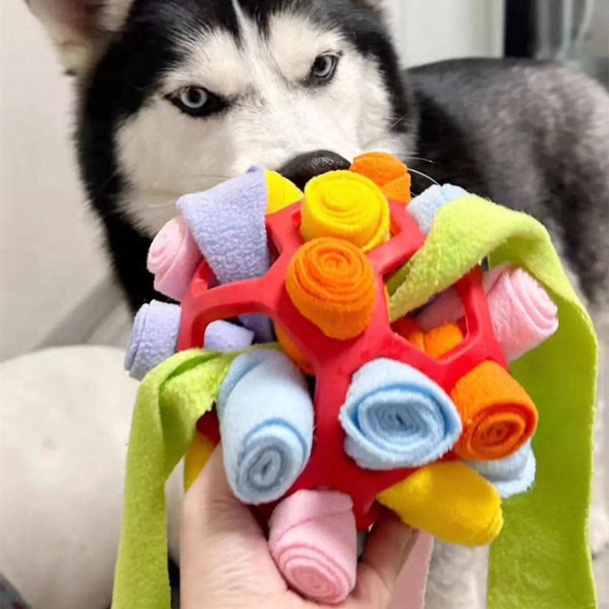 Snuffle Play Puzzle Ball