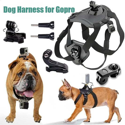 Adventure Ready Pup Camera Harness