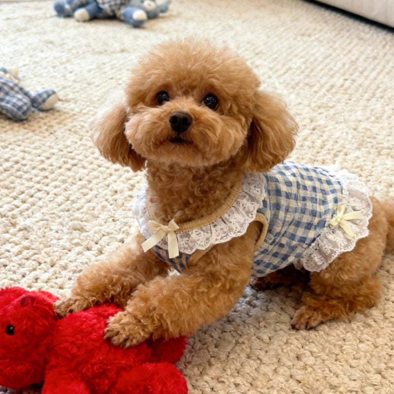 Summer Lace Skirt for Pets