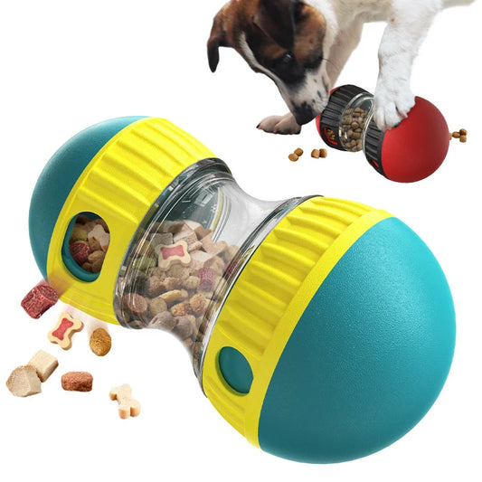 Active Fetch IQ Ball Track