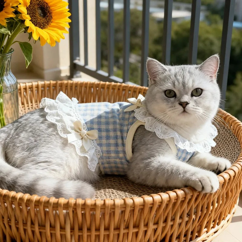 Summer Lace Skirt for Pets