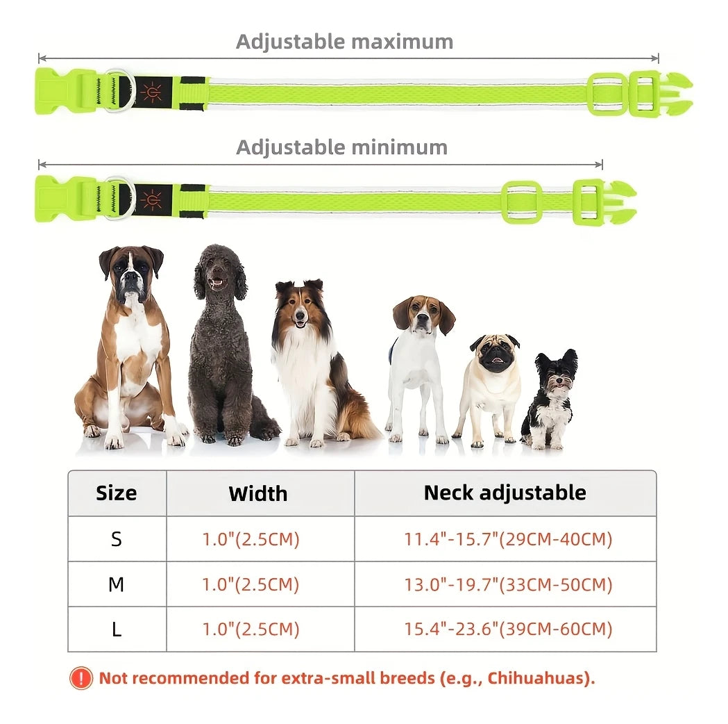 GlowSafe LED Dog Collar