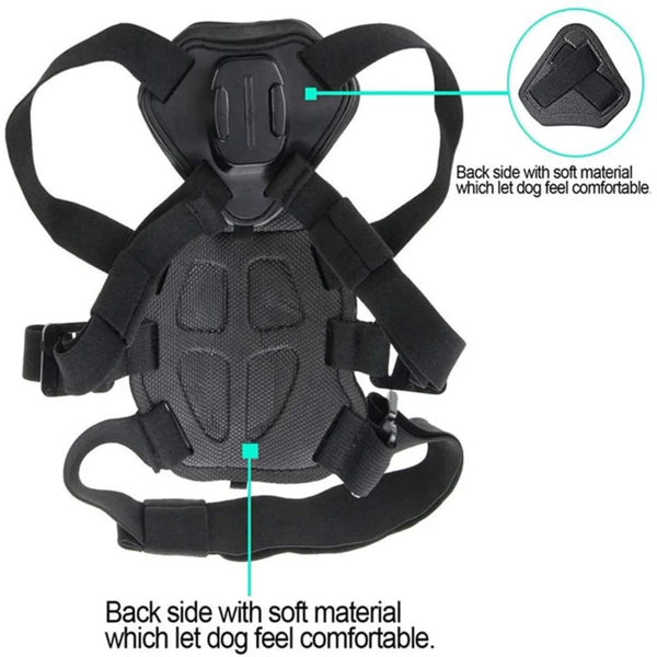 Adventure Ready Pup Camera Harness