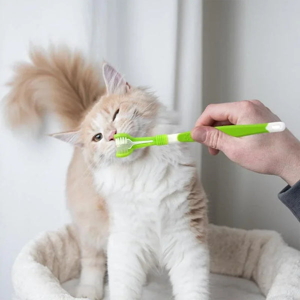 Triple-Head Pet Toothbrush