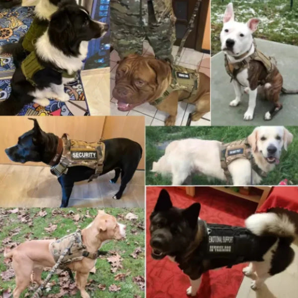 Ranger Tactical Dog Harness Vest