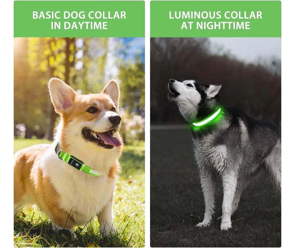 GlowSafe LED Dog Collar
