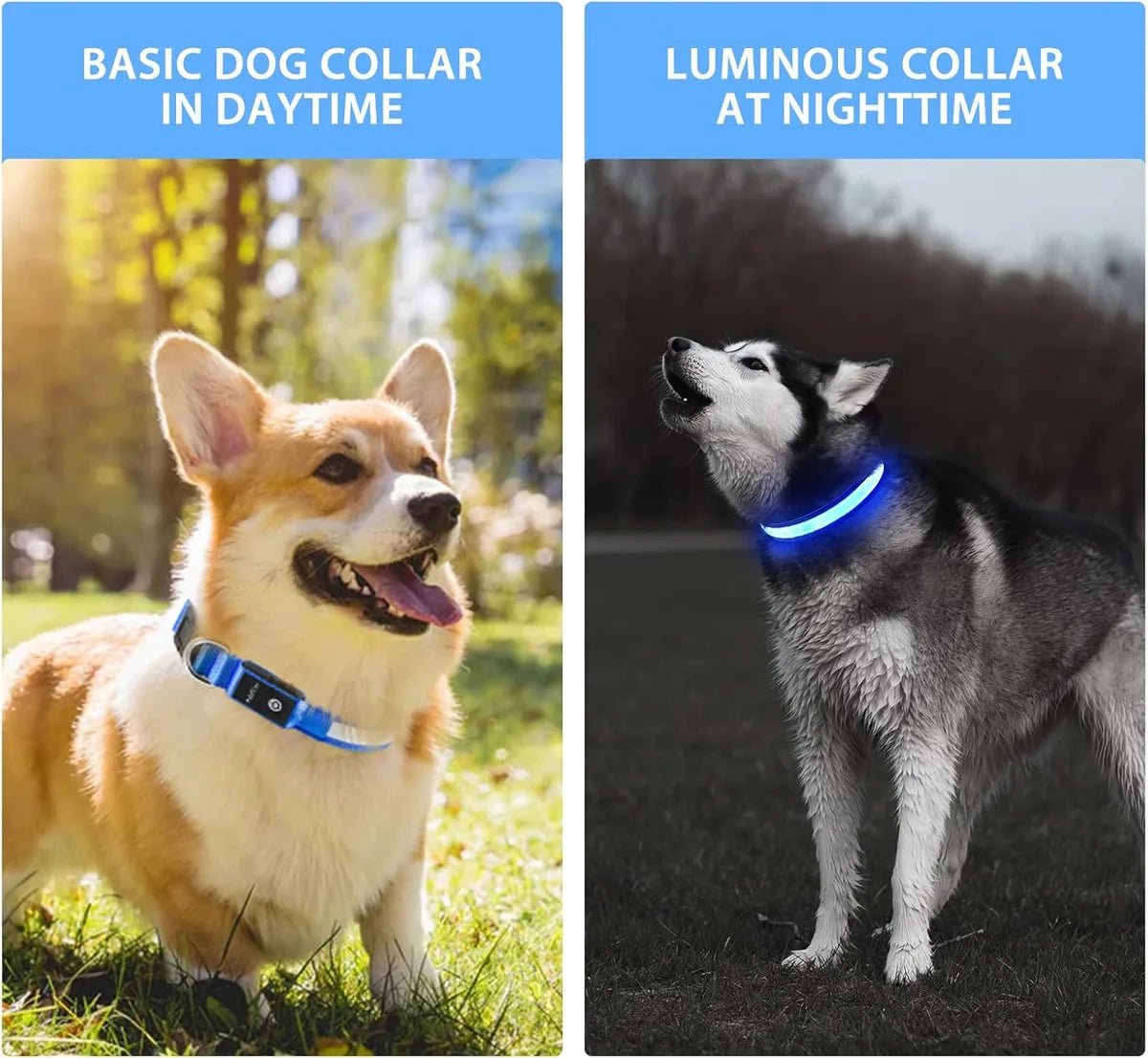 GlowSafe LED Dog Collar