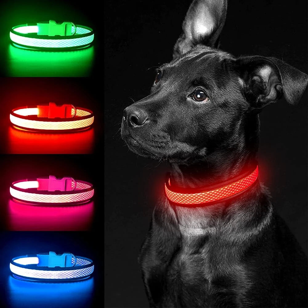 GlowSafe LED Dog Collar