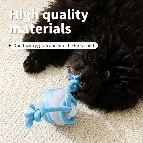 RollerPup Smart Rolling Play Ball