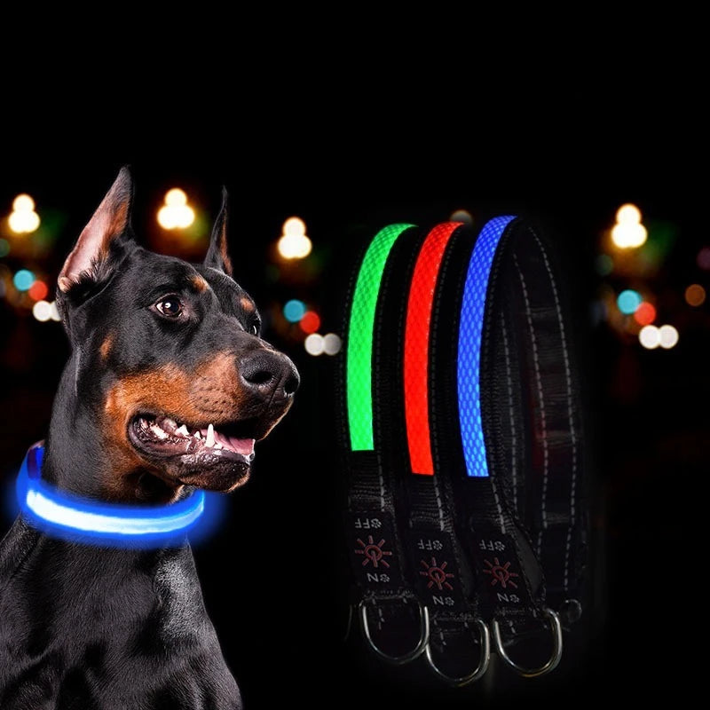 GlowSafe LED Dog Collar